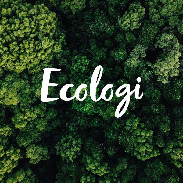 Simon Jersey partners with Ecologi as it strives to offset our carbon emissions across the entire garment production process.