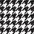 Black Dog Tooth