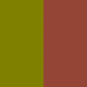Olive/Chestnut