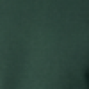 Bottle Green Swatch Colour